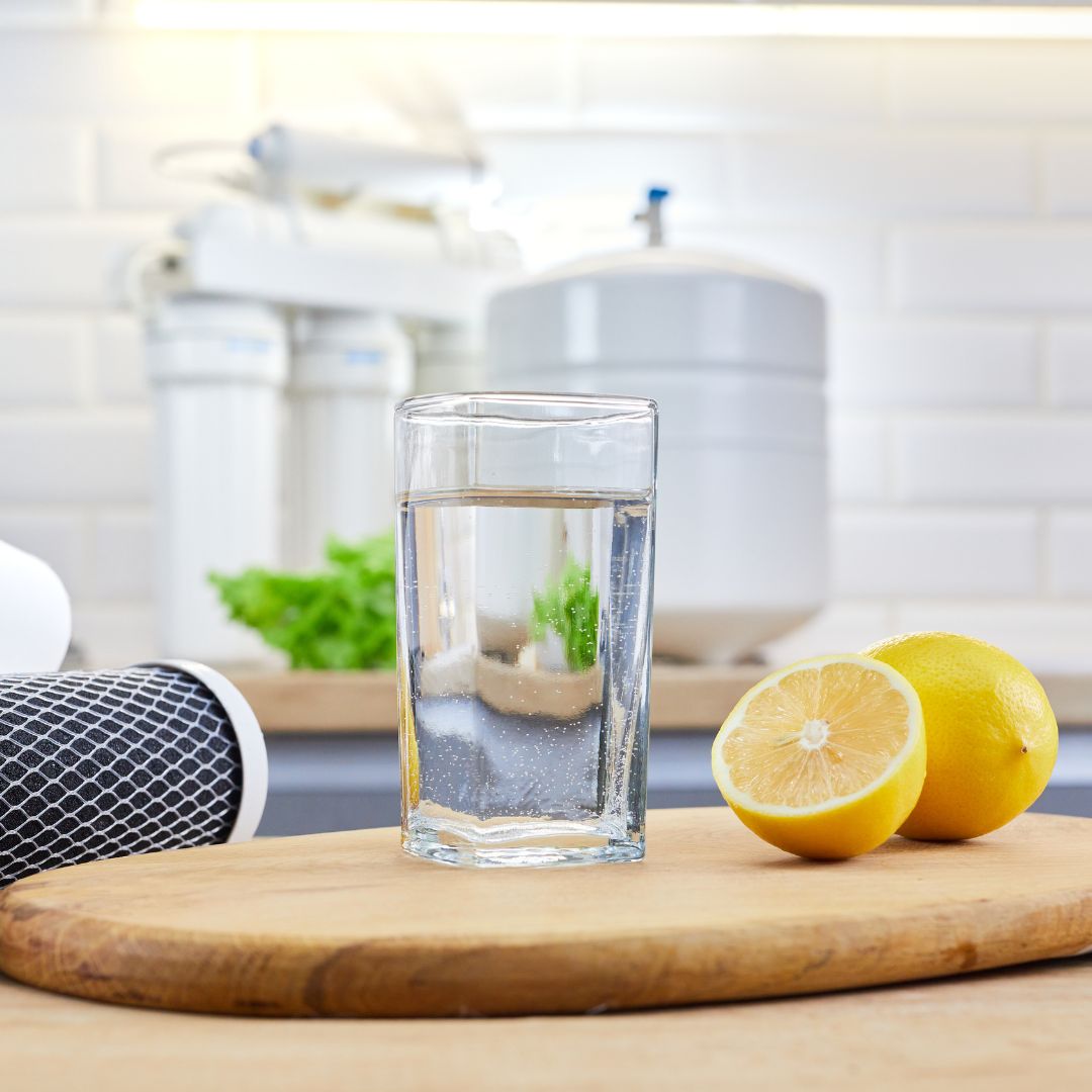 glass of water next to lemons and water filter glass of water next to lemons and water filter